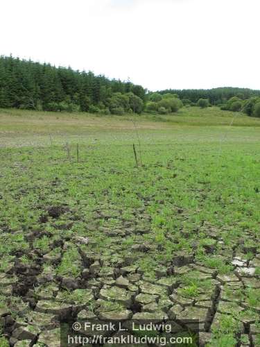 Lough Nasool Drained (2006)